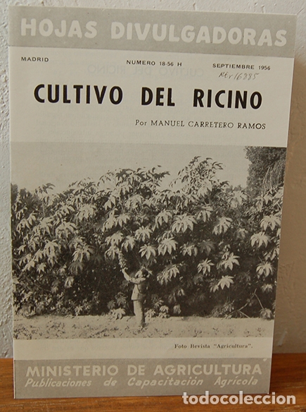Libros: Hojas Divulgadoras. CULTIVO DEL RICINO - MANUEL CARRETERO RAMOS