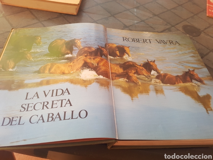 Libros: La vida secreta del caballo - olivo - - Foto 2
