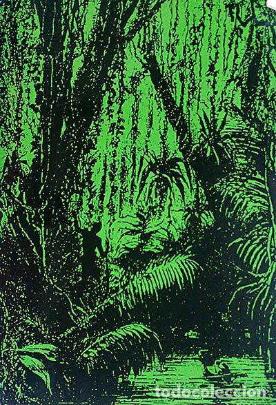 Libros: Amazonas: Un viaje imposible - Juan Madrid - Foto 1