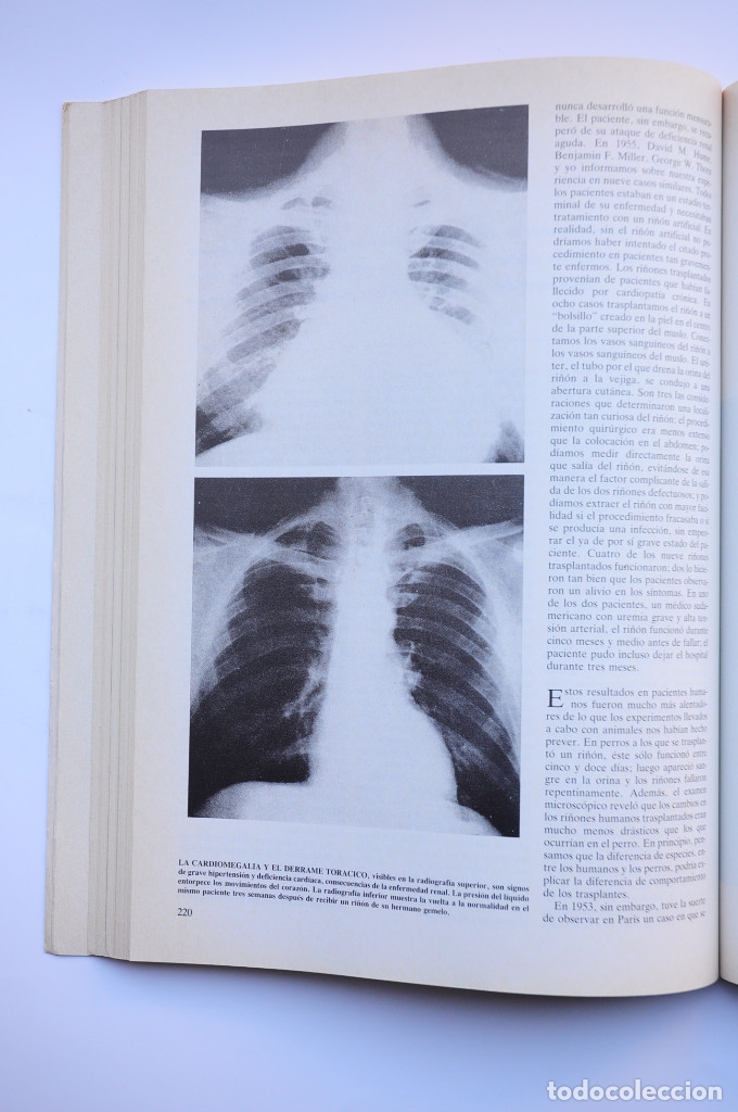 Libros: Inmunolog&iacute;a - AUTORES VARIOS - Foto 6