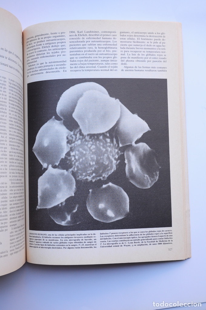 Libros: Inmunolog&iacute;a - AUTORES VARIOS - Foto 8