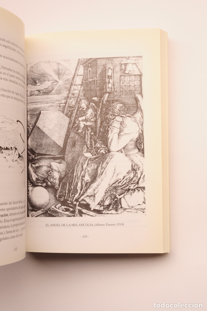Libros: Elementos de Geolog&iacute;a - CASTELL&Oacute;N SERRANO, Luis - Foto 4