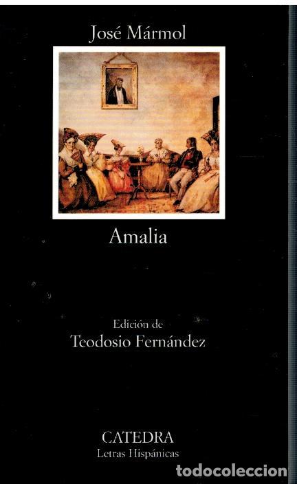 Libros: AMALIA. Edici&oacute;n de Teodosio Fern&aacute;ndez. - Foto 1