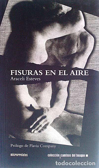 Libros: Fisuras en el aire - Araceli Esteves - Foto 1