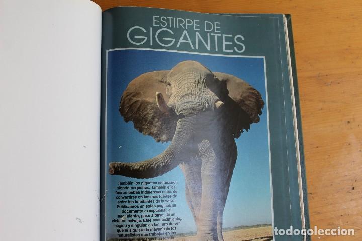 Libros: ESTIRPE DE GIGANTES SUPLEMENTOS DEL PAIS - Foto 2