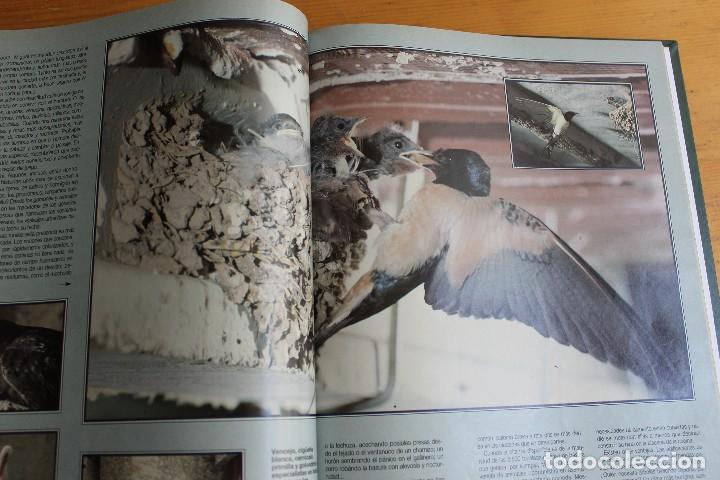 Libros: ESTIRPE DE GIGANTES SUPLEMENTOS DEL PAIS - Foto 3