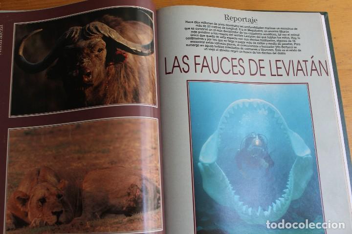 Libros: ESTIRPE DE GIGANTES SUPLEMENTOS DEL PAIS - Foto 4