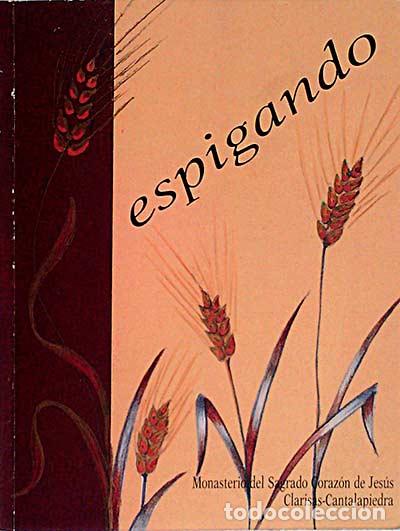 Libros: Espigando - VVAA - Foto 1