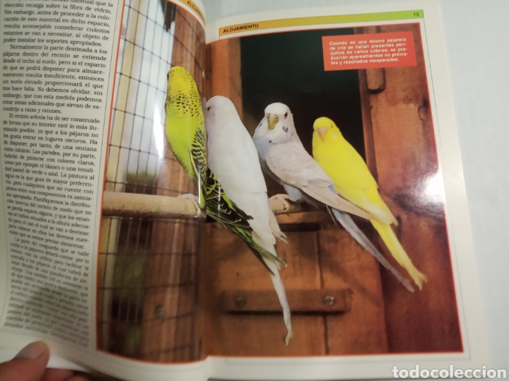 Libros: Periquitos - Foto 3
