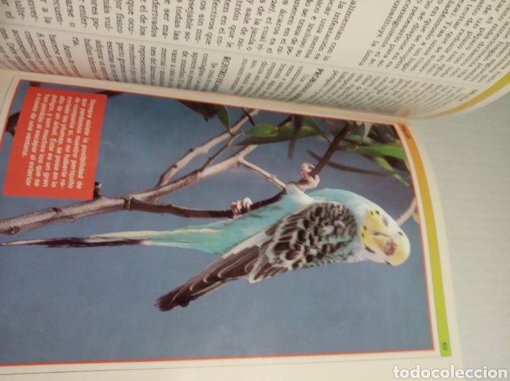 Libros: Periquitos - Foto 6