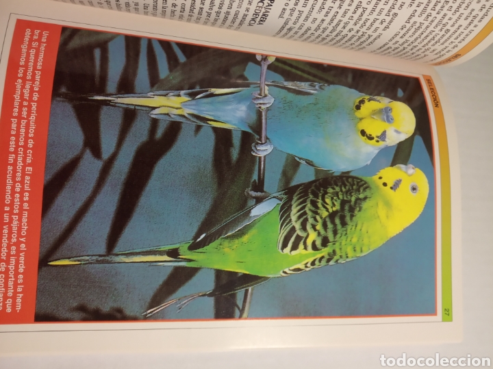 Libros: Periquitos - Foto 5