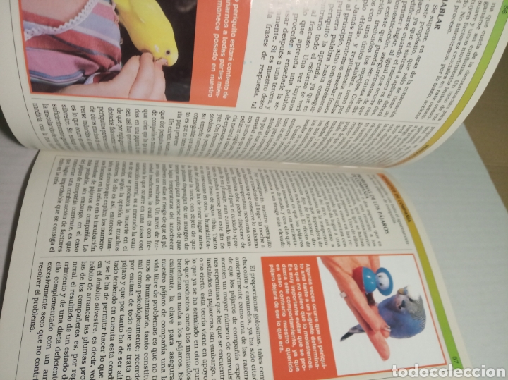 Libros: Periquitos - Foto 7