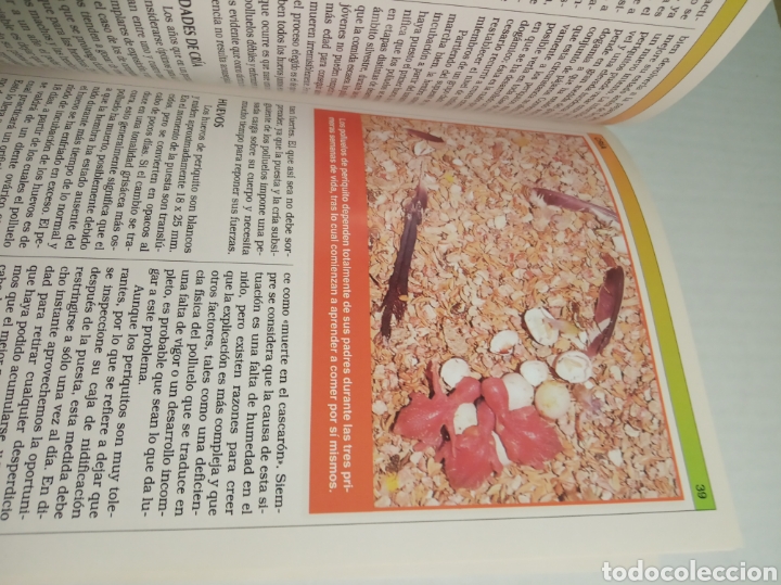 Libros: Periquitos - Foto 9
