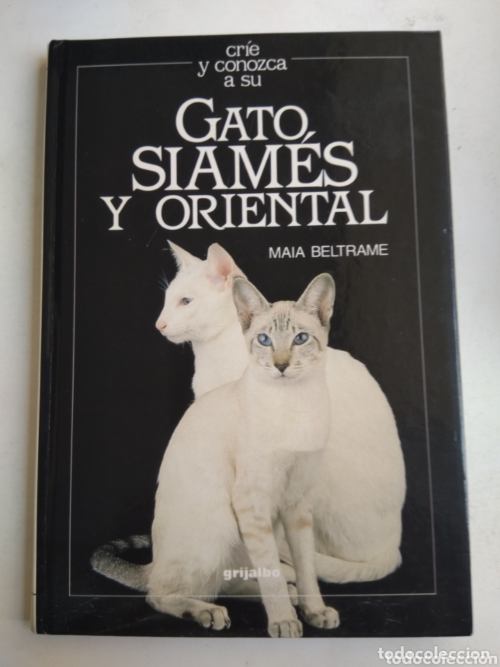 Libros: GATO SIAMES Y ORIENTAL - Foto 1