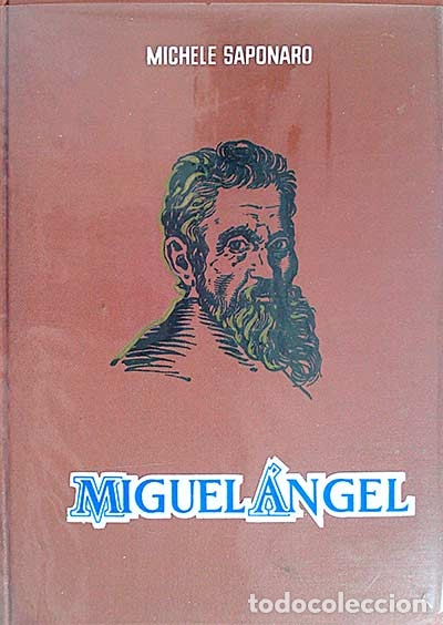 Libros: Miguel &Aacute;ngel - Michele Saponaro. - Foto 1