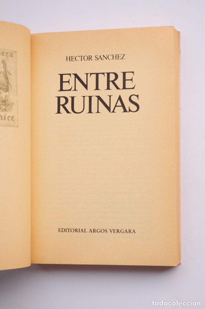 Libros: Entre ruinas - S&Aacute;NCHEZ, H&eacute;ctor - Foto 2
