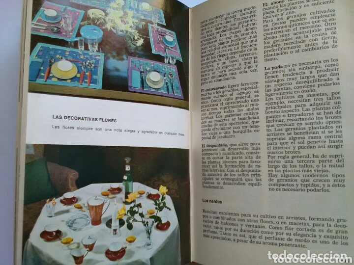 Libros: ABC pr&agrave;ctico del hogar Gertrud Oheim . C&iacute;rculo de Lectores - Foto 2