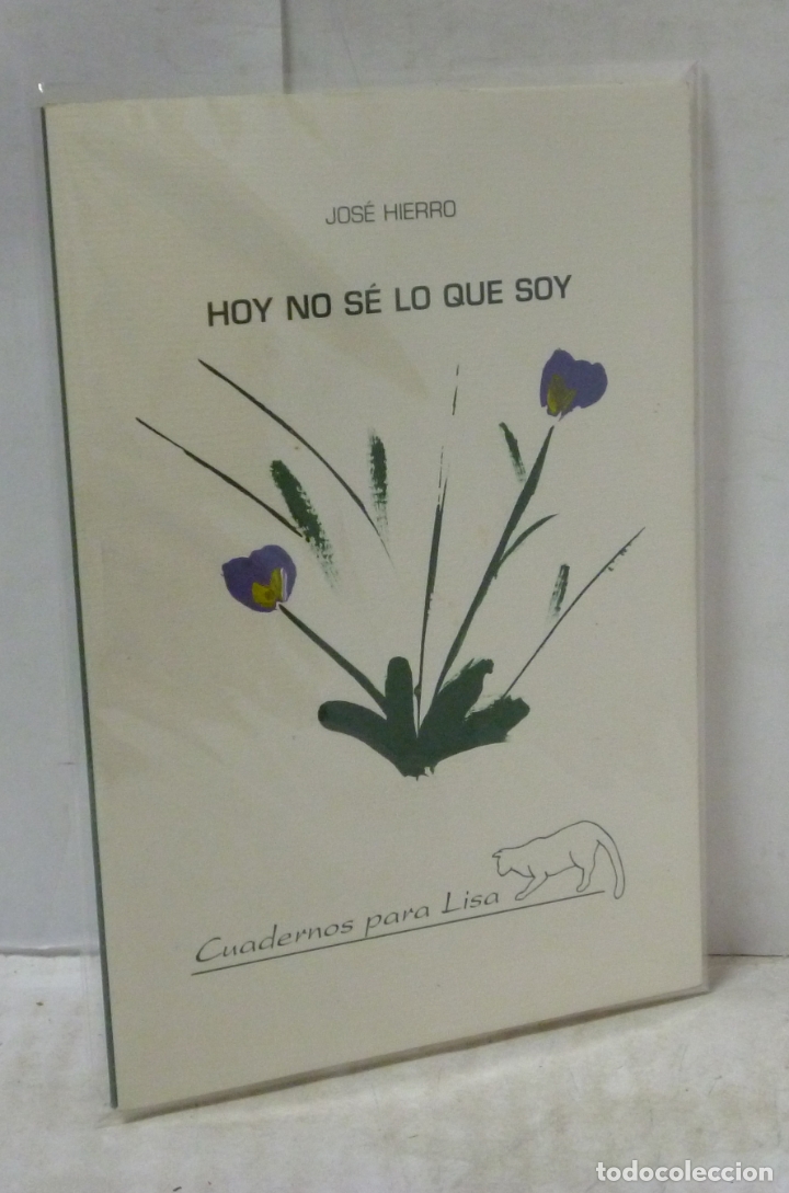Libros: HOY NO SE LO QUE SOY - Hierro, Jose - Foto 1