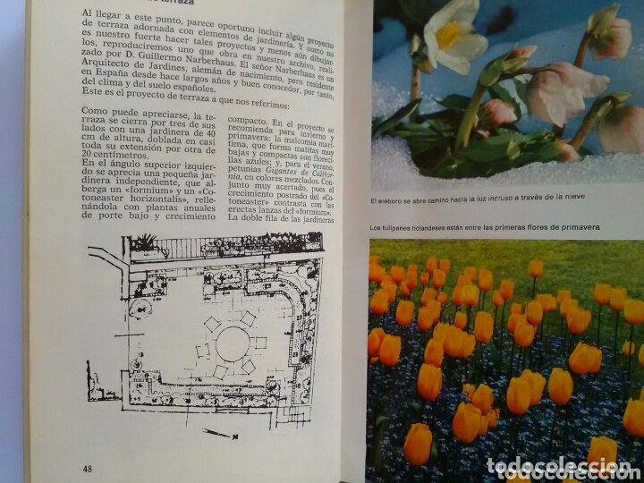 Libros: ABC de las plantas de jard&iacute;n . Magda R&oacute;denas .Circulo de lectores - Foto 2
