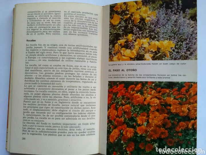 Libros: ABC de las plantas de jard&iacute;n . Magda R&oacute;denas .Circulo de lectores - Foto 4
