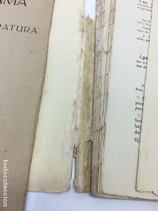 Libros: GRAMATICA GRIEGA, JAIME BERENGUER AMEN&Oacute;S, 6&ordf; EDIC. BOSCH  EDITORIAL, 1949  CON PROGRAMA DEL CURSO - Foto 3
