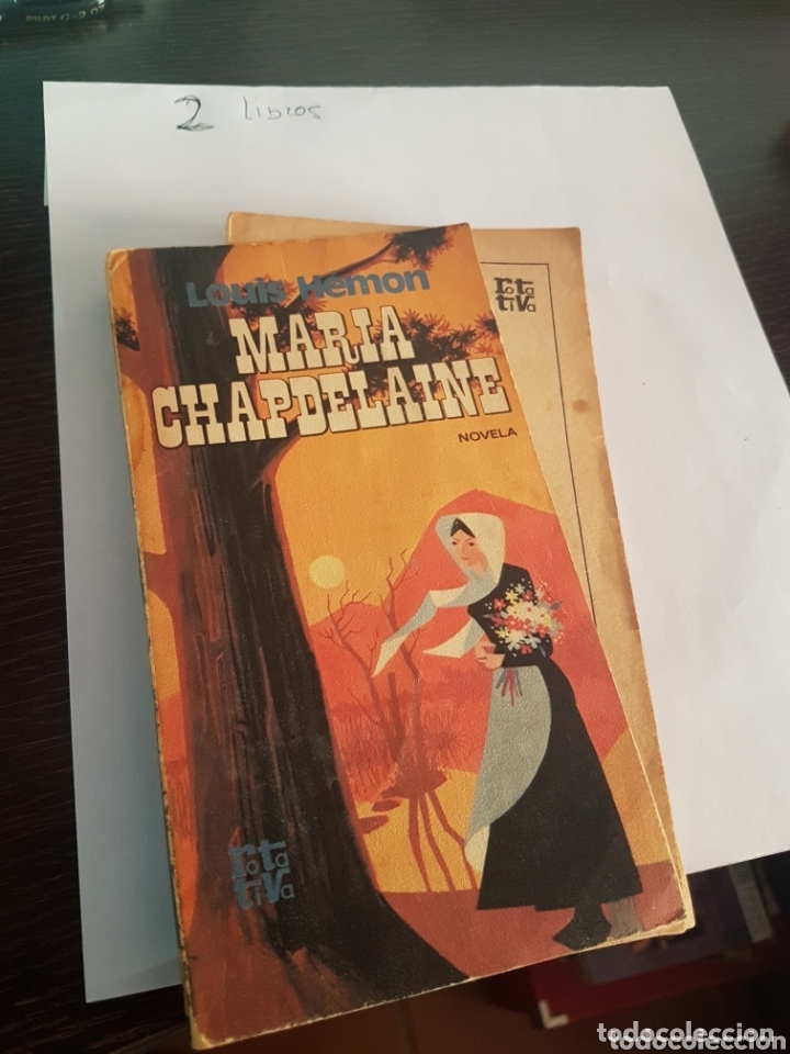 Libros: Mar&iacute;a Chapdelaine - Louis H&eacute;mon - Foto 1
