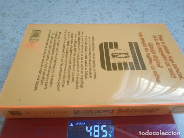 Libros: LA CIUDAD INVISIBLE.- M.G. HARRIS - Foto 4