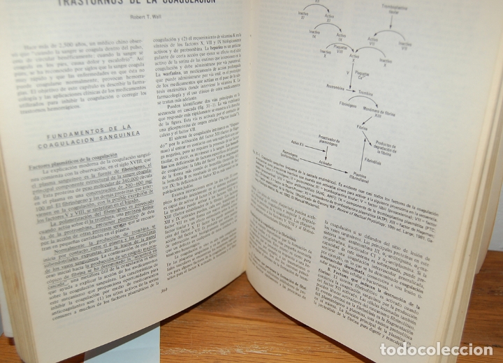Libros: FARMACOLOG&Iacute;A B&Aacute;SICA Y CL&Iacute;NICA - BERTRAM G. KATZUNG - Foto 2