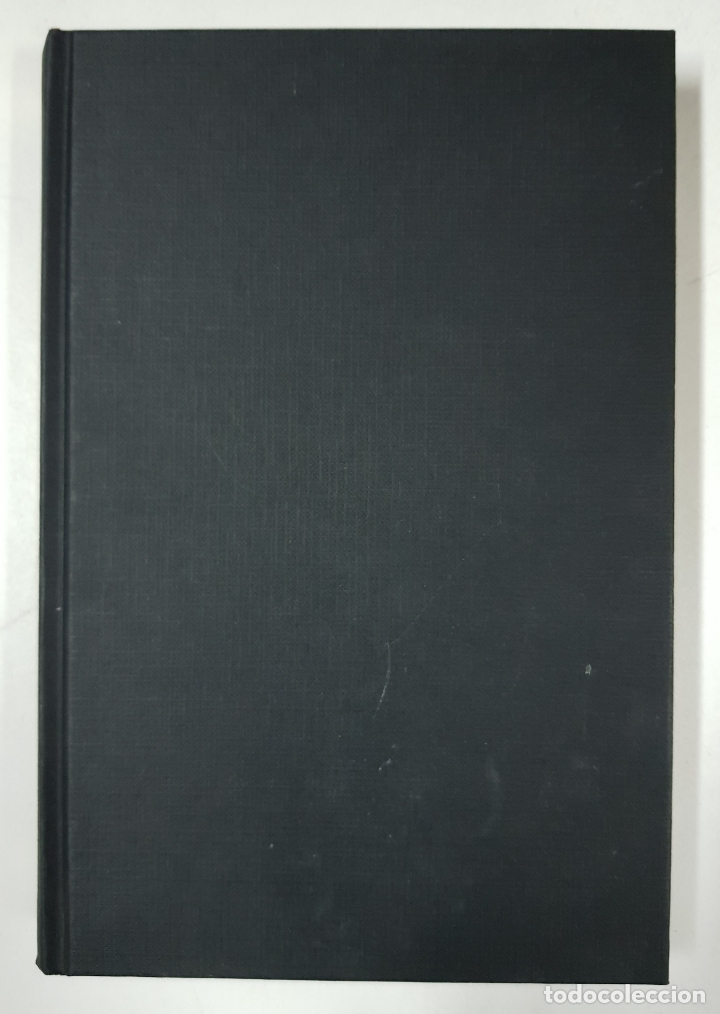 Libros: En compa&ntilde;&iacute;a del sol / Jes&uacute;s S&aacute;nchez Adalid - Foto 1