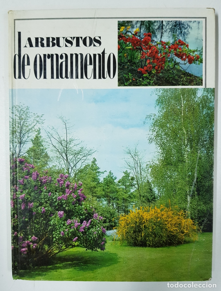 Libros: Arbustos de ornamento - Foto 1