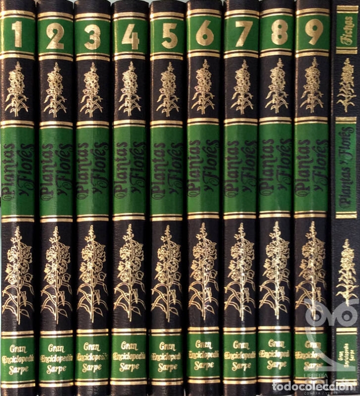 Libros: Plantas y flores - Aa. Vv. - Foto 2