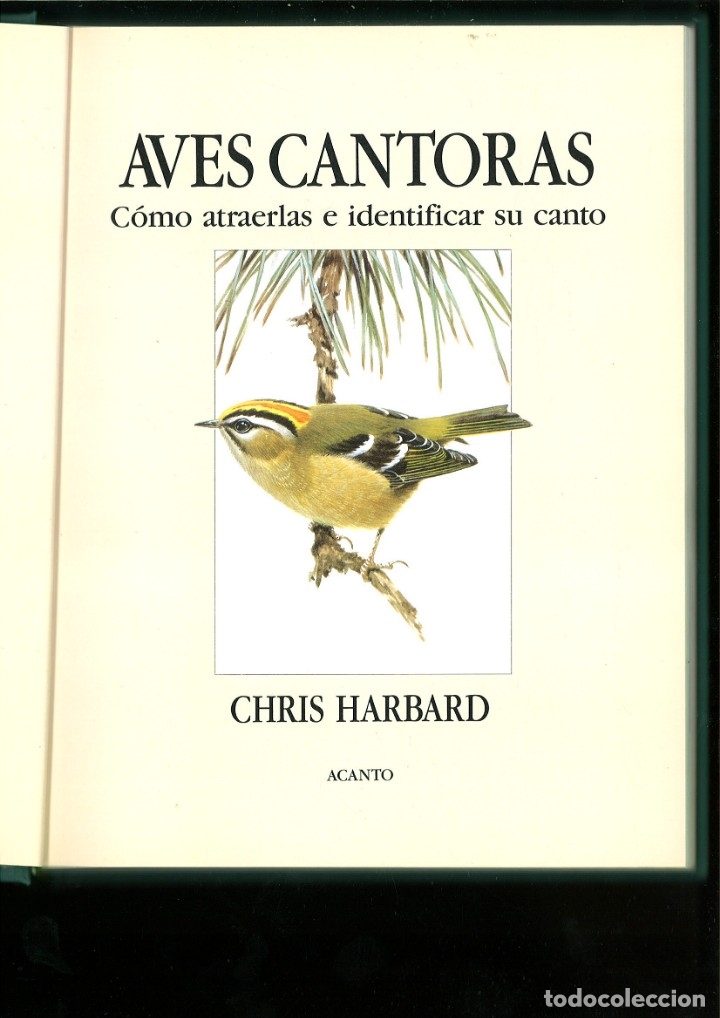 Libros: AVES CANTORAS. C&Oacute;MO ATRAERLAS E IDENTIFICAR SU CANTO. Chris Harbard - Foto 1
