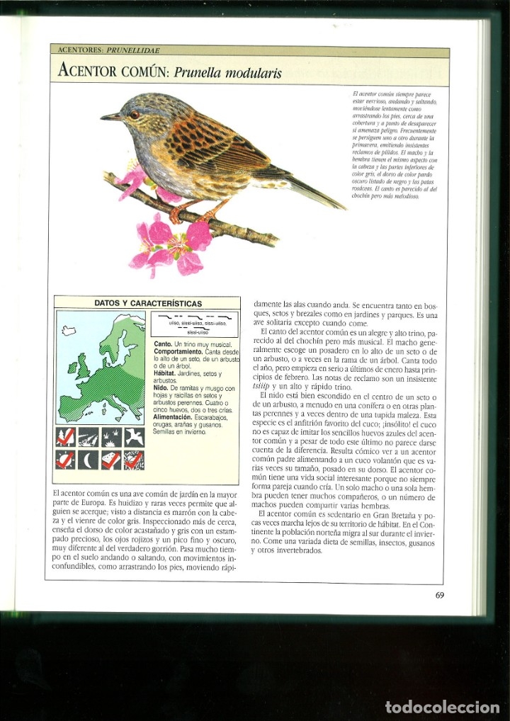 Libros: AVES CANTORAS. C&Oacute;MO ATRAERLAS E IDENTIFICAR SU CANTO. Chris Harbard - Foto 2
