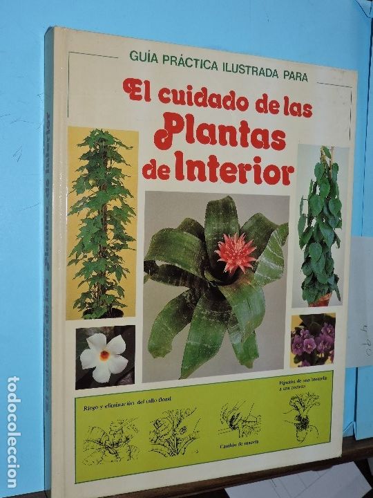 Libros: Gu&iacute;a Pr&aacute;ctica Ilustrada para El cuidado de las Plantas de Interior. LONGMAN, David. Ed. C&iacute;rculo de L - Foto 1