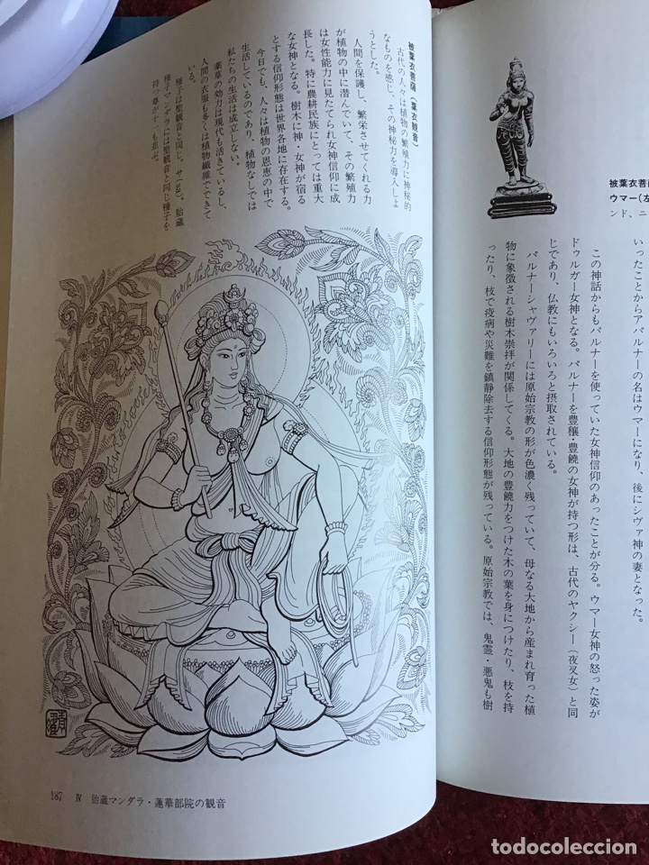 Libros: Kannon Dictionary. Budismo. M&aacute;ndala. Buda - Foto 5