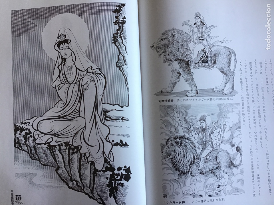 Libros: Kannon Dictionary. Budismo. M&aacute;ndala. Buda - Foto 7