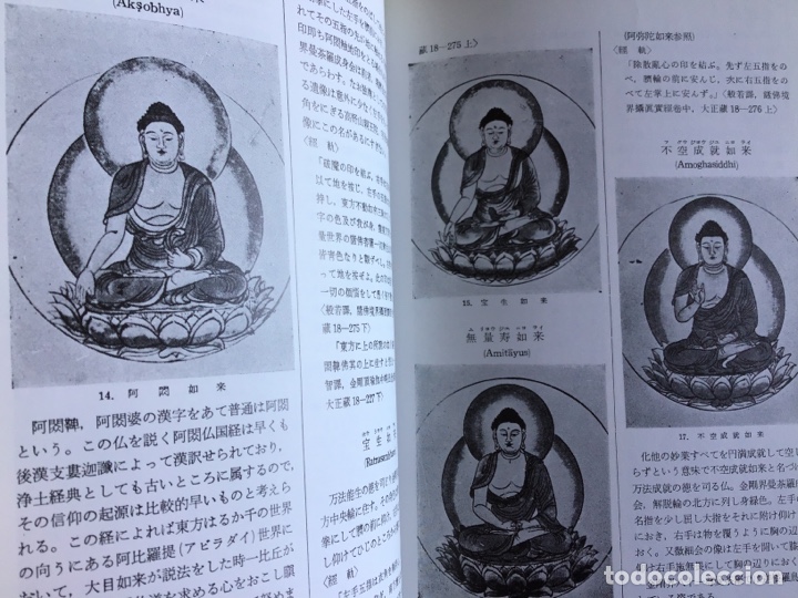 Libros: Buda. Versi&oacute;n ampliada de la estatua. Budismo - Foto 4