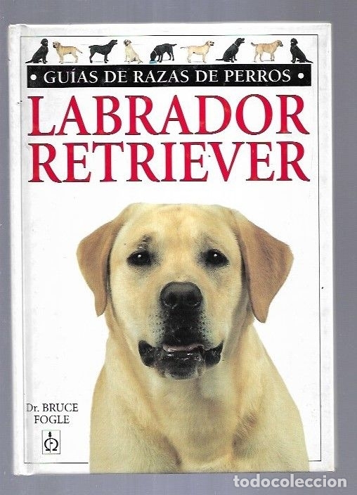 Libros: LABRADOR RETRIEVER - FOGLE, BRUCE - Foto 1