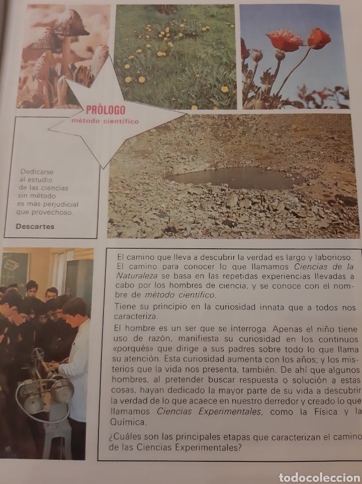 Libros: Ciencias Naturales 7 egb Brujula 84 Bru&ntilde;o - Foto 3