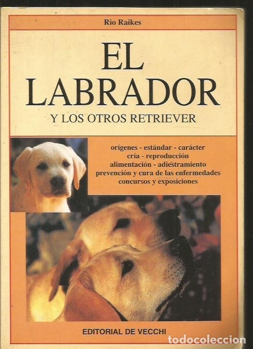 Libros: LABRADOR Y OTROS RETRIEVER - EL - RAIKES, RIO - Foto 1