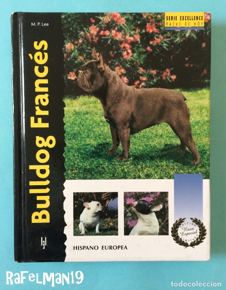 Libros: BULLDOG FRANC&Eacute;S - SERIE EXCELLENCE . RAZAS DE HOY - Foto 1
