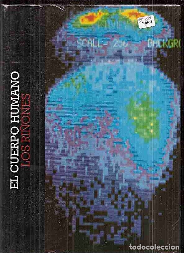 Libros: CUERPO HUMANO - EL: LOS RI&Ntilde;ONES - VARIOS - Foto 1