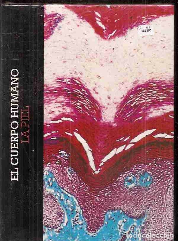 Libros: CUERPO HUMANO - EL: LA PIEL - VARIOS - Foto 1