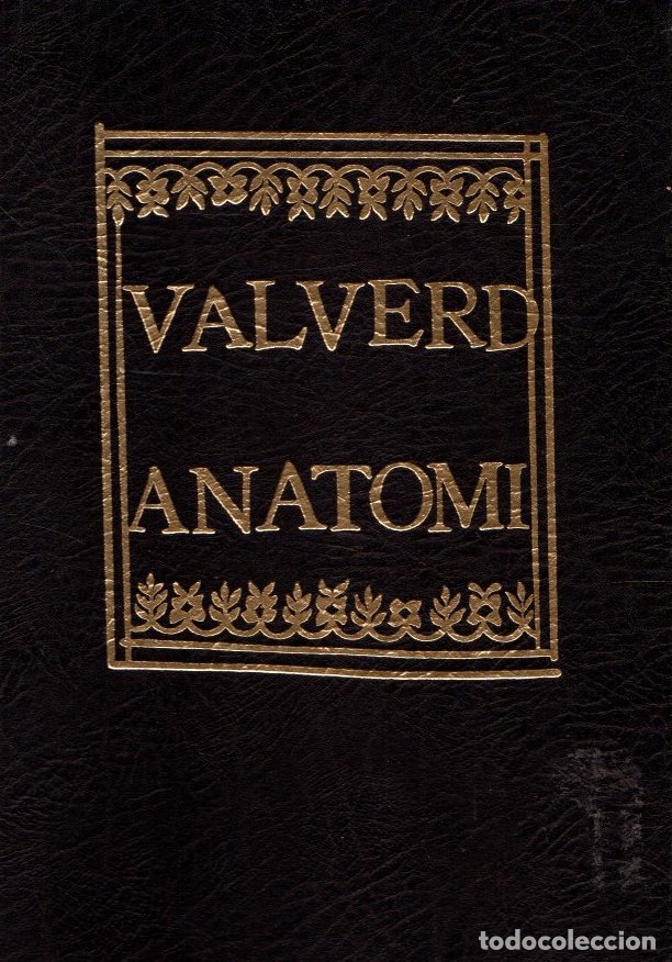 Libros: Historia dellAnatomia - Valuerde, Giouanni - Foto 1