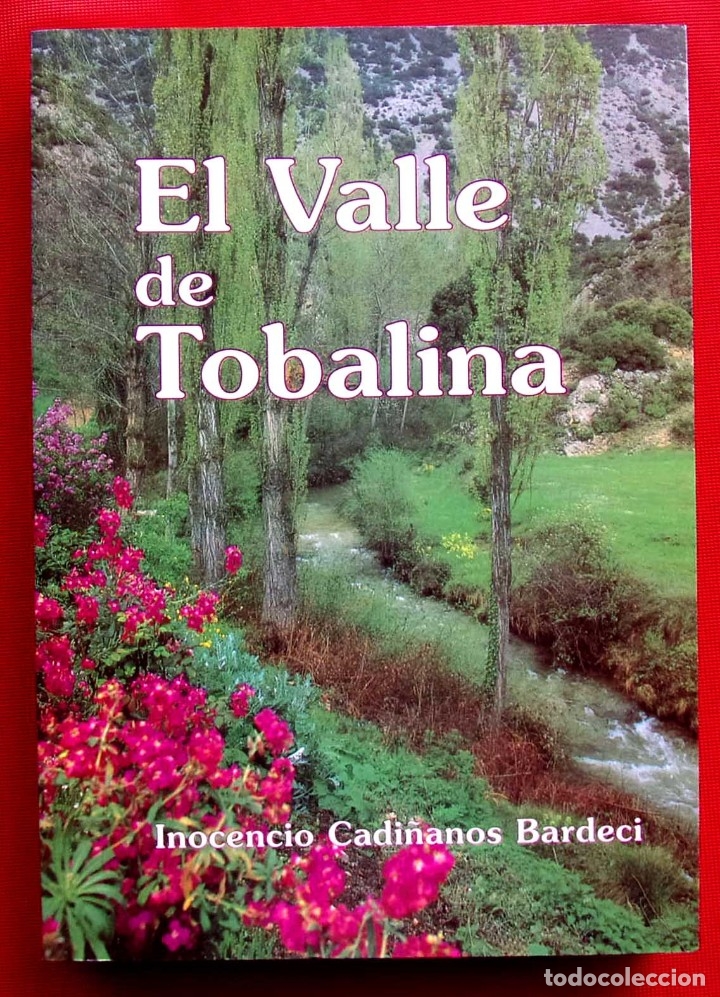 B&uuml;cher: EL VALLE DE TOBALINA. BURGOS. A&Ntilde;O:1995. BUEN ESTADO.