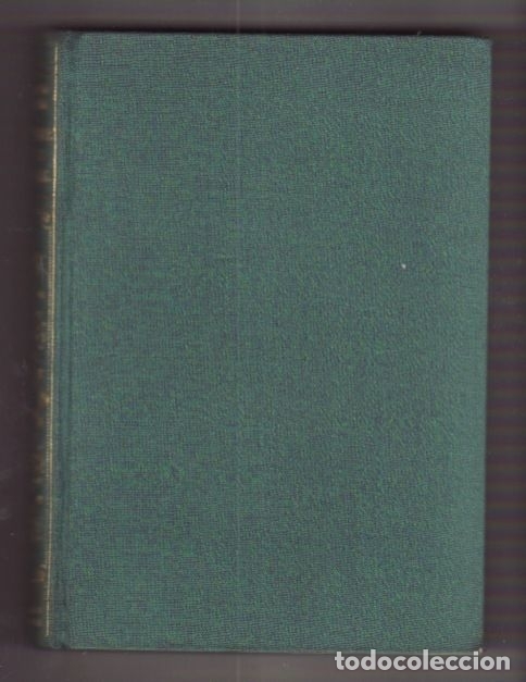Libros: ESTIRPE DE LOS ODONNELL - LA - POWELL, RICHARD - Foto 1