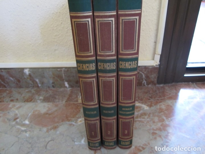 Libros: ENCICLOPEDIA DE LAS CIENCIAS SALVAT - Foto 1
