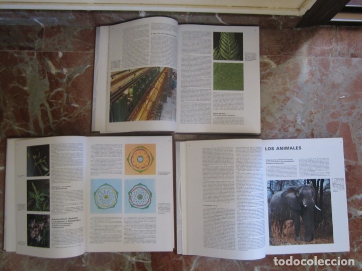 Libros: ENCICLOPEDIA DE LAS CIENCIAS SALVAT - Foto 4