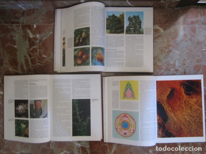 Libros: ENCICLOPEDIA DE LAS CIENCIAS SALVAT - Foto 5