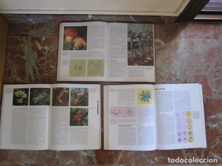 Libros: ENCICLOPEDIA DE LAS CIENCIAS SALVAT - Foto 6